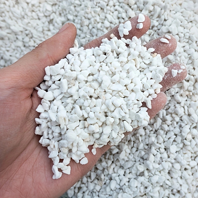 Horticulture Soil Perlite - เพอร์ไลต์เพื่อการเพาะปลูกขนาด 3-6 มม. 1 แพ็ค สำหรับเพาะต้นกล้า