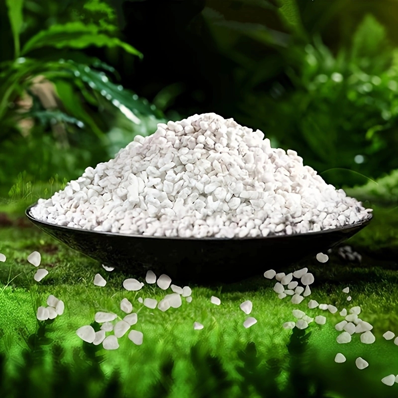Horticulture Soil Perlite - เพอร์ไลต์เพื่อการเพาะปลูกขนาด 3-6 มม. 1 แพ็ค สำหรับการเพาะต้นกล้า